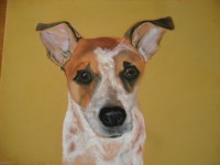 /album/galerie-photos/photo-776-jpg/